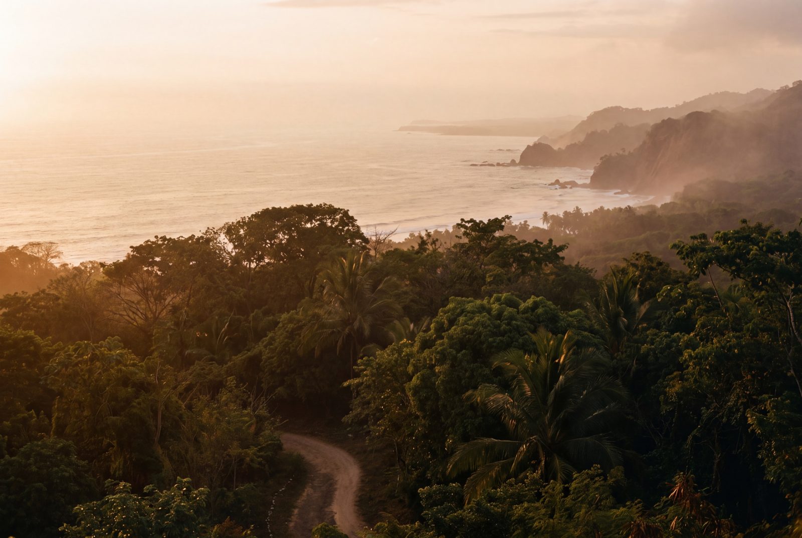 Jungle canopy down to the coast